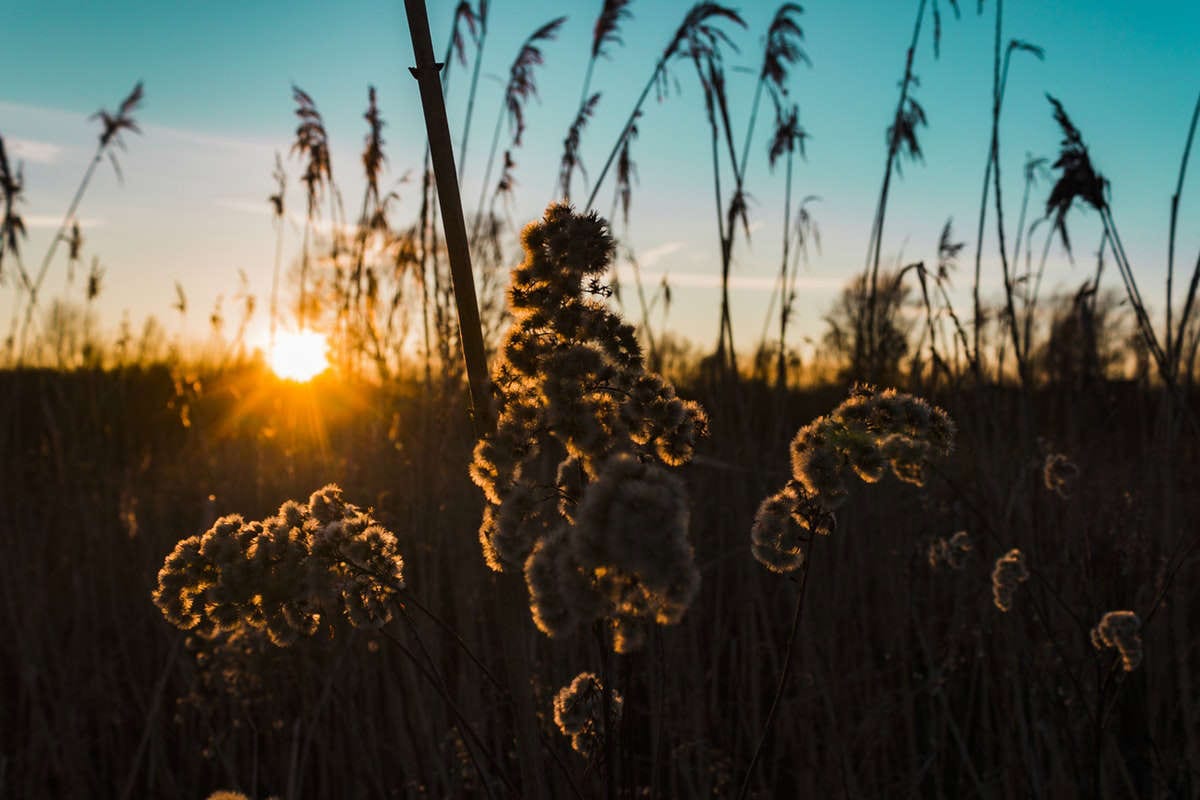Got God? How God Helps Us Grow Through Difficulty 4