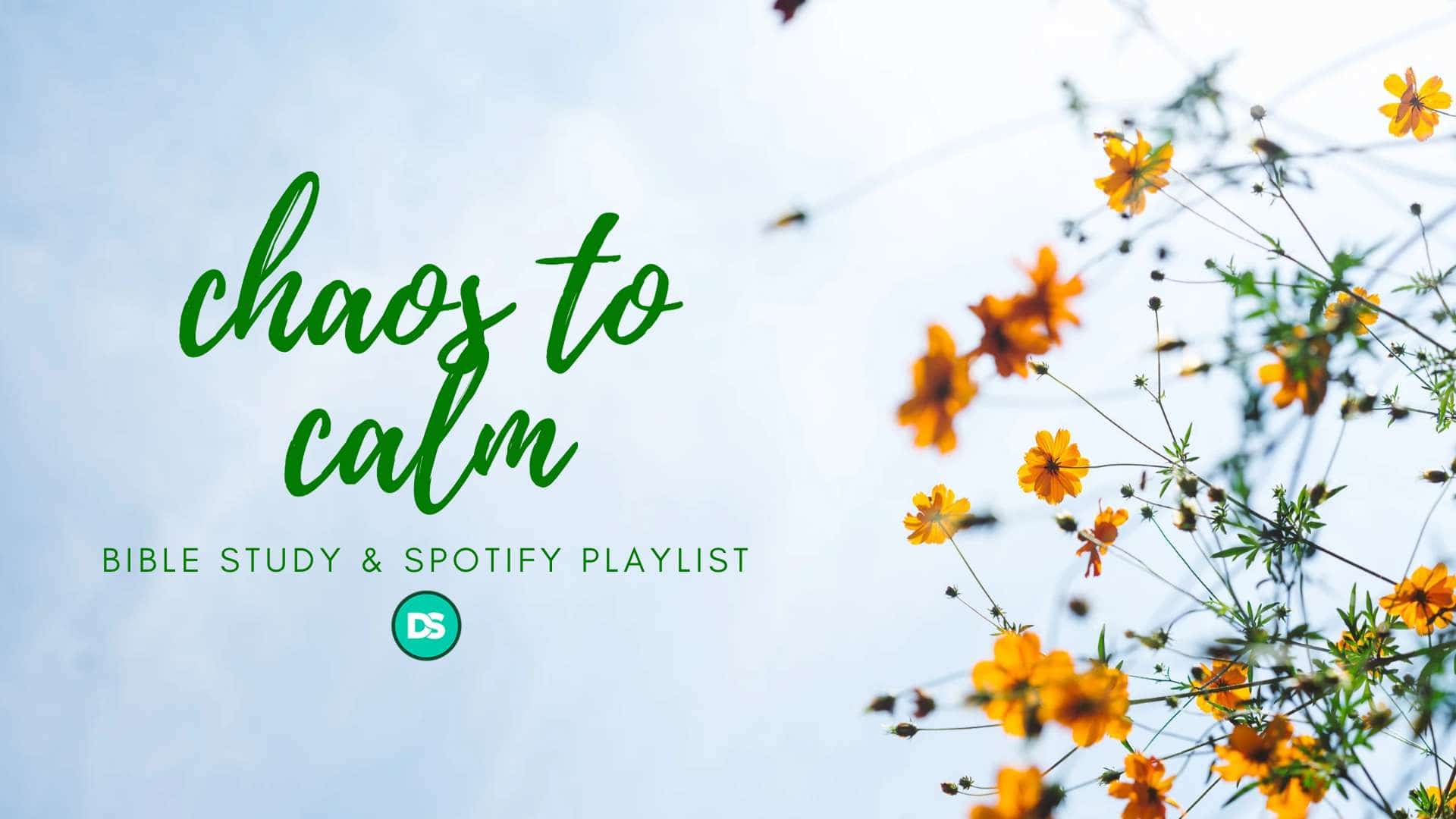 Chaos to Calm: Bible Study and Spotify Playlist 3