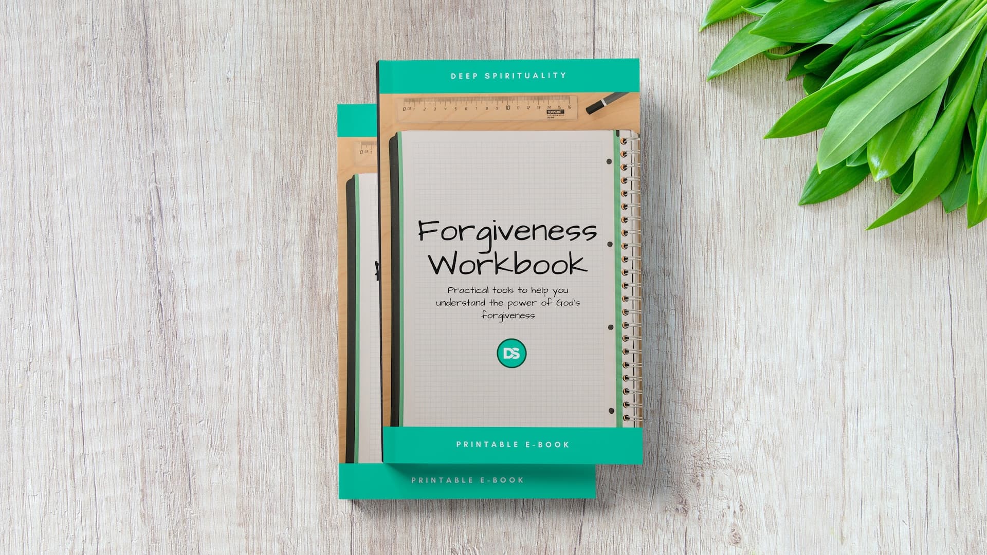 The Forgiveness Workbook 2