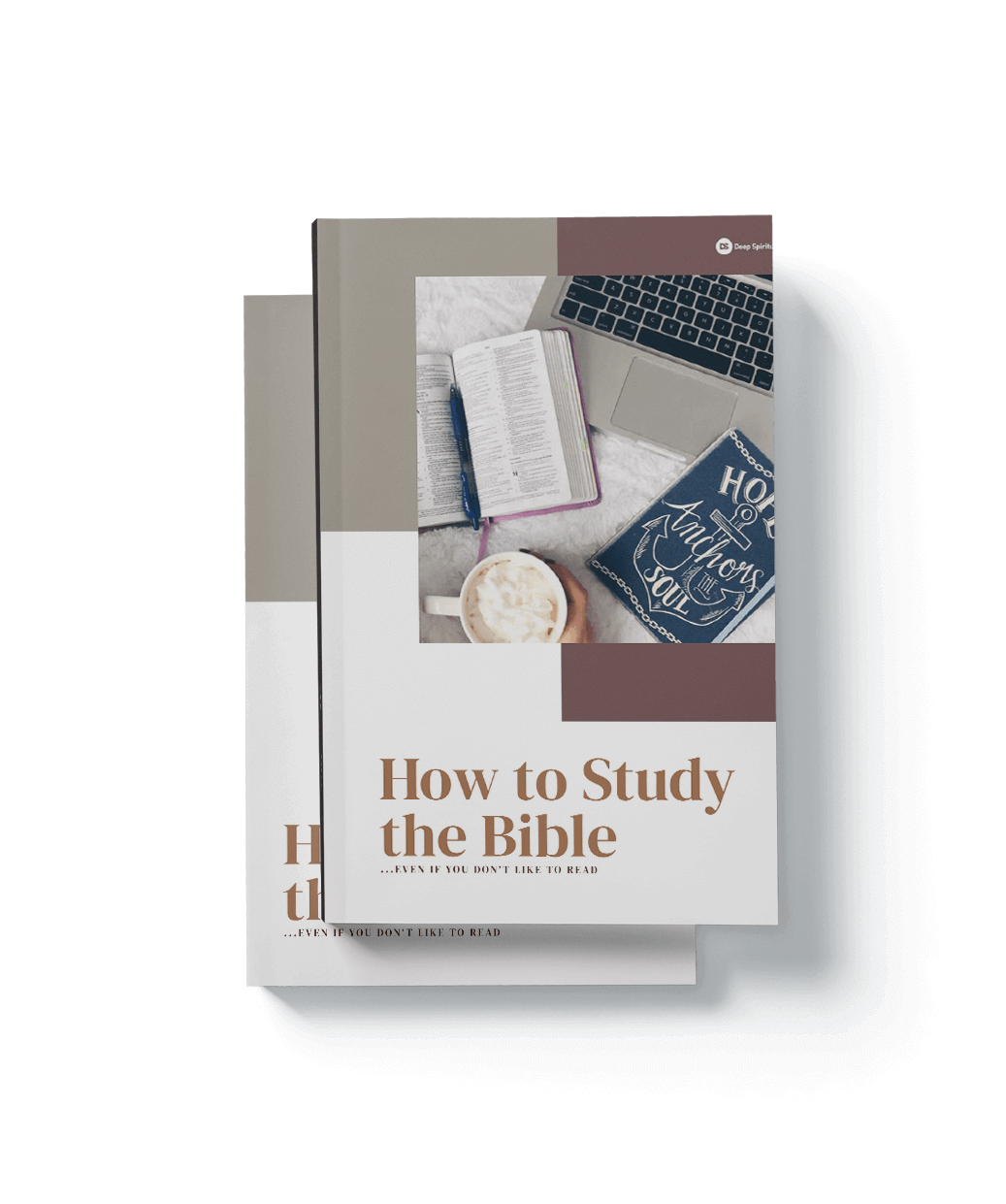 how-to-study-the-bible