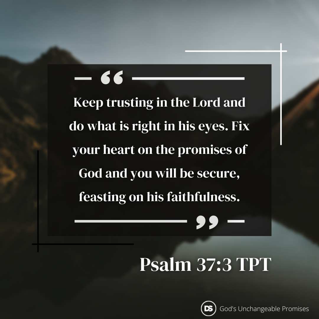 God's promises - Pralm 37:3 TPT