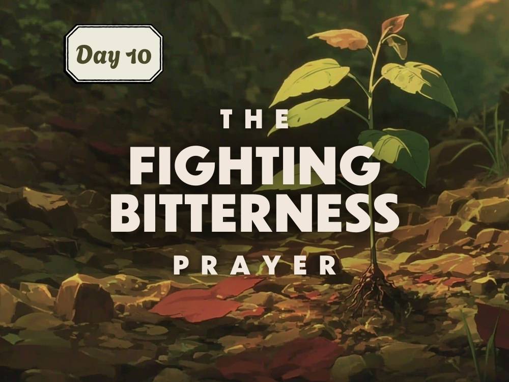 12 Days of Prayer 12