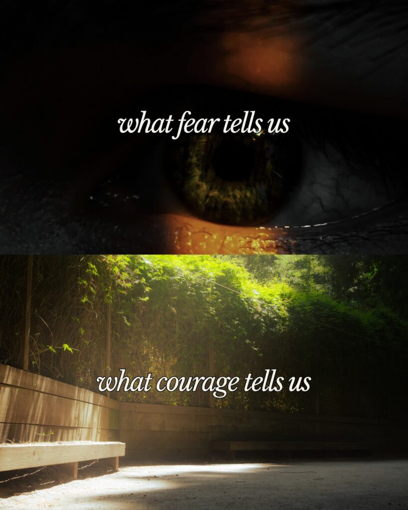 Disappointment: The Thief of Courage